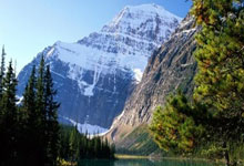 懂球帝能下载赛事直播吗？怎么操作？